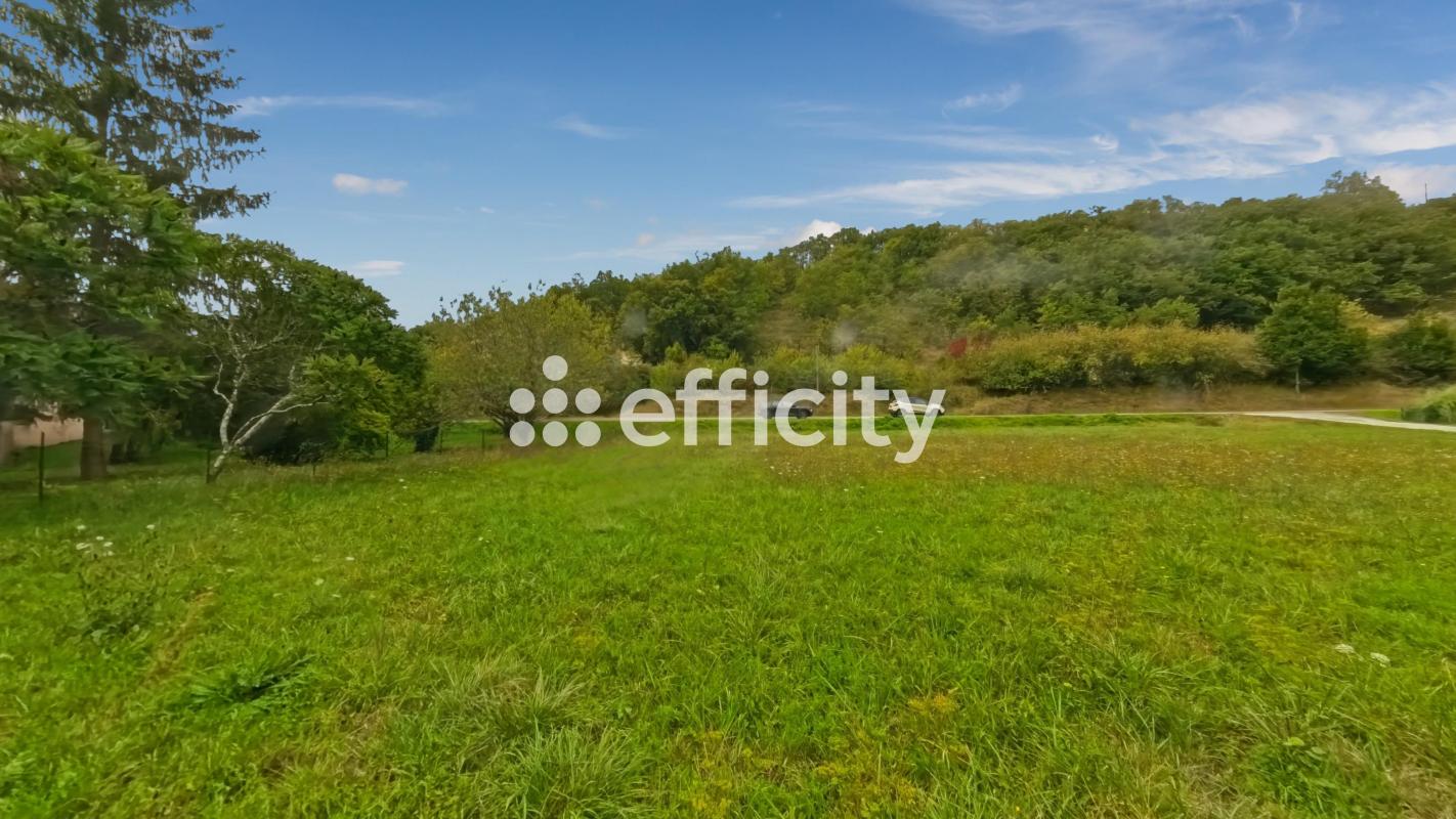 Terrain  Montaigu-de-Quercy - Photo 6