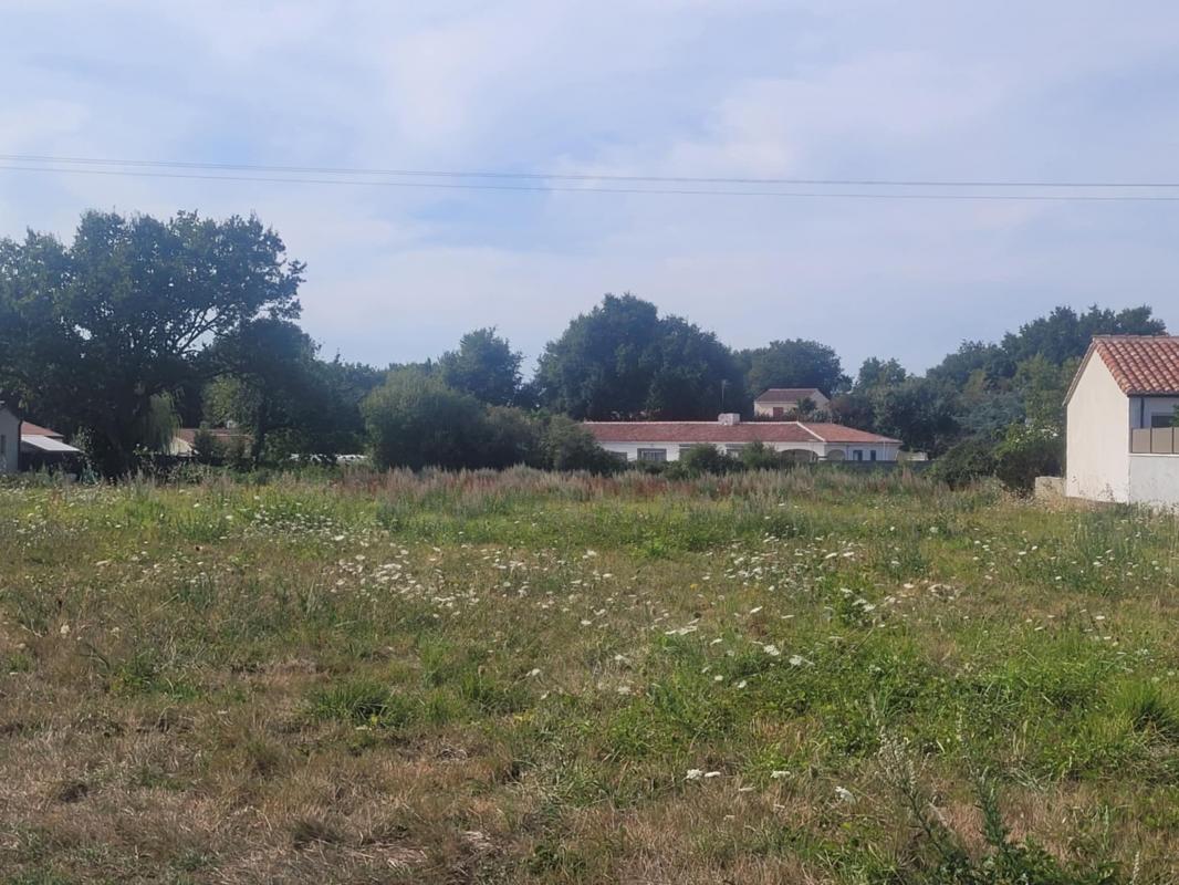 Terrain  Sainte-Foy - Photo 3