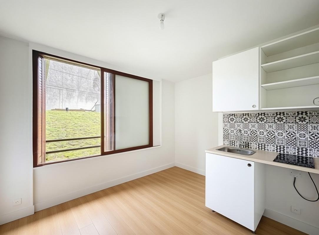 Appartement 1 Pièce(s) Antony