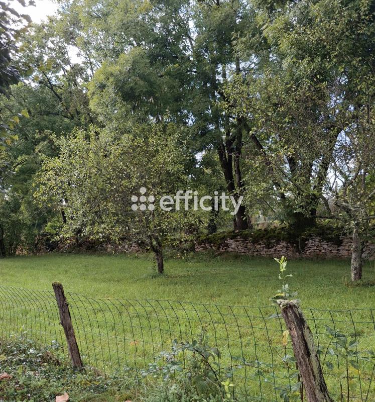 Terrain  Esprels - Photo 4