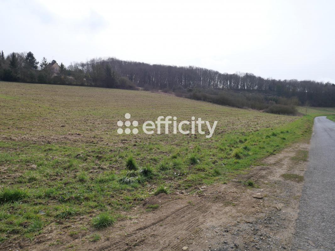 Terrain  Sainte-Geneviève