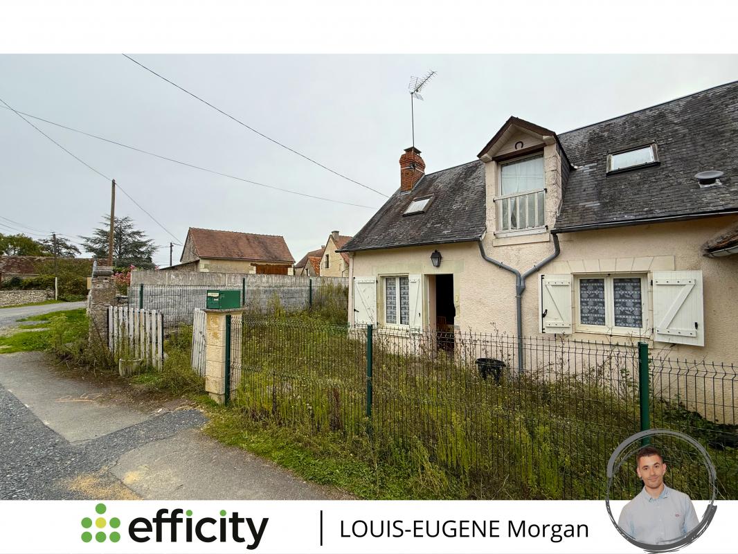 Maison 4 Pièce(s) Pleumartin