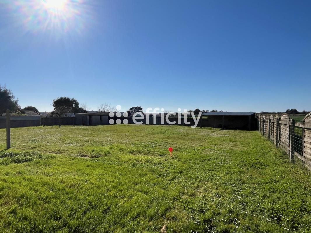 Terrain  Talmont-Saint-Hilaire