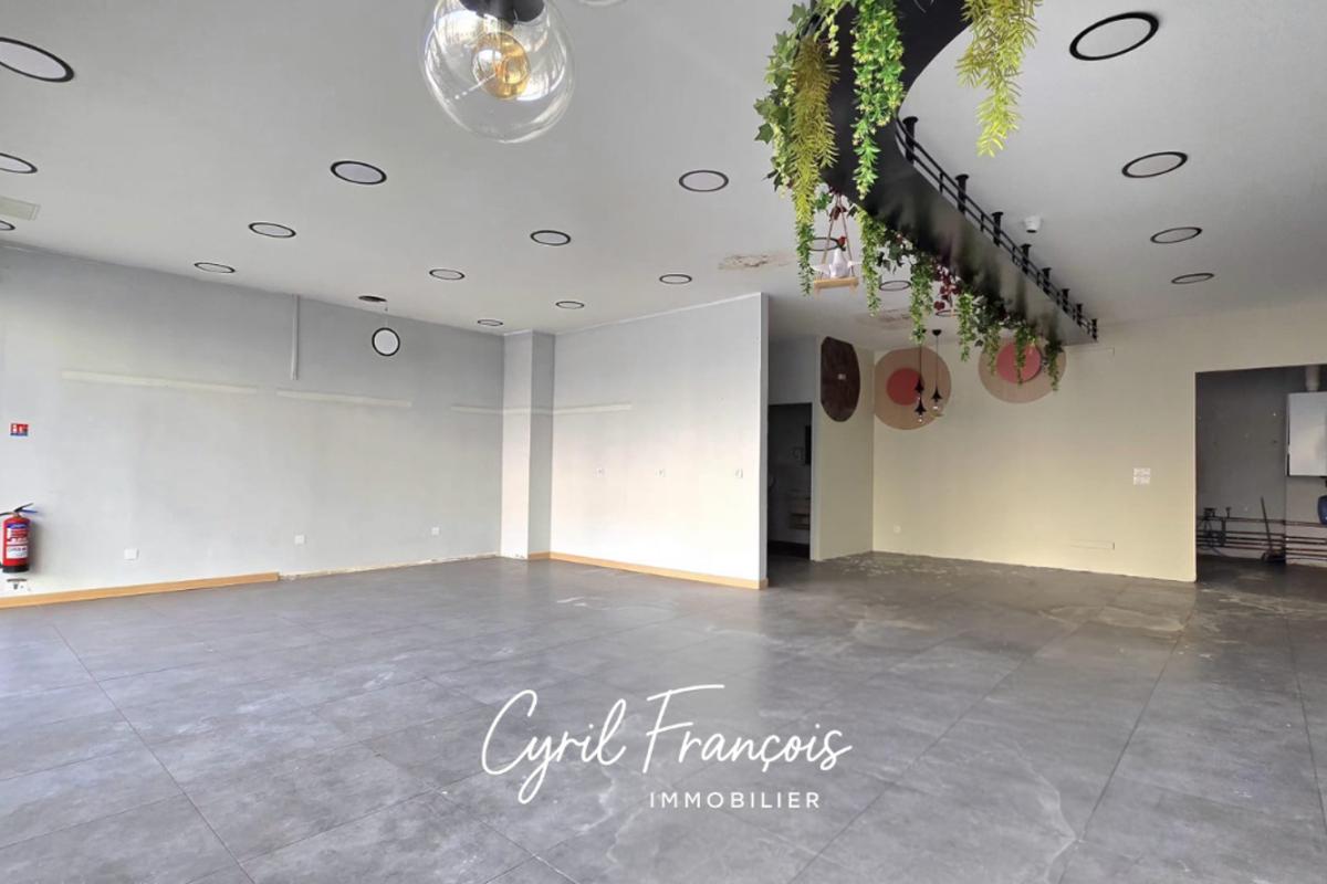 Locaux/biens immobiliers  Villeurbanne