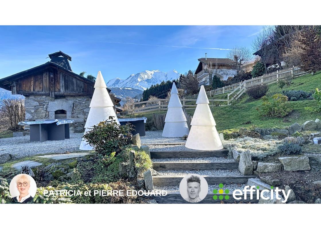 Chalet 14 Pièce(s) Combloux