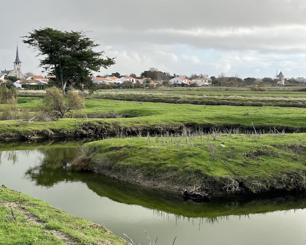 Terrain  L'Île-d'Olonne