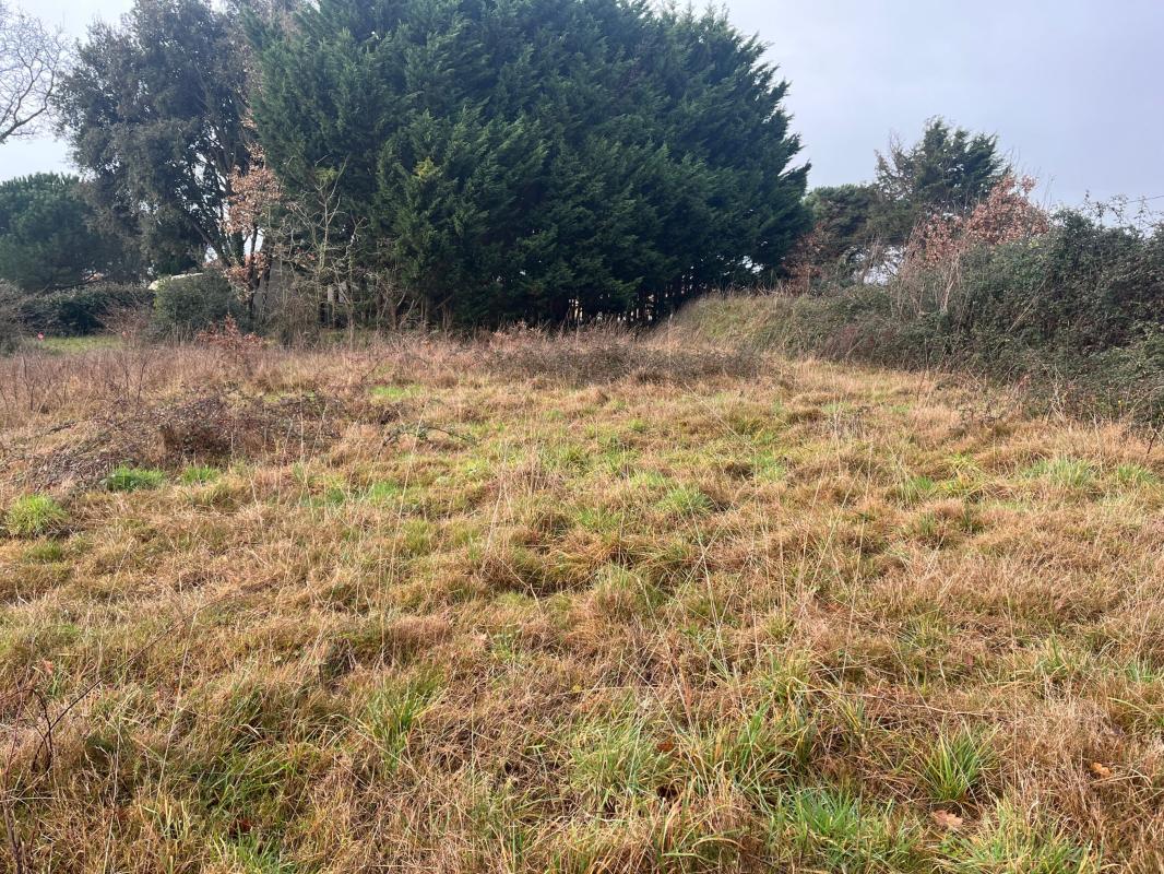 Terrain  Talmont-Saint-Hilaire