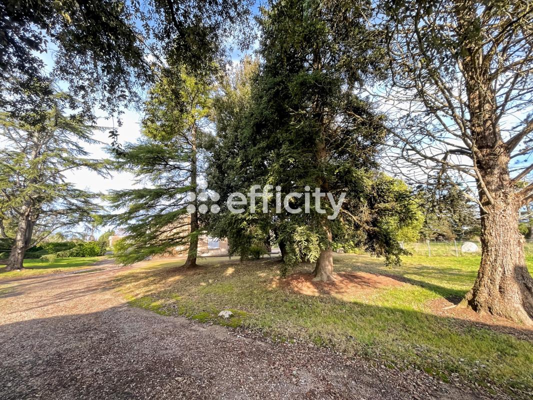 Maison longère 4 Pièce(s) Lussac