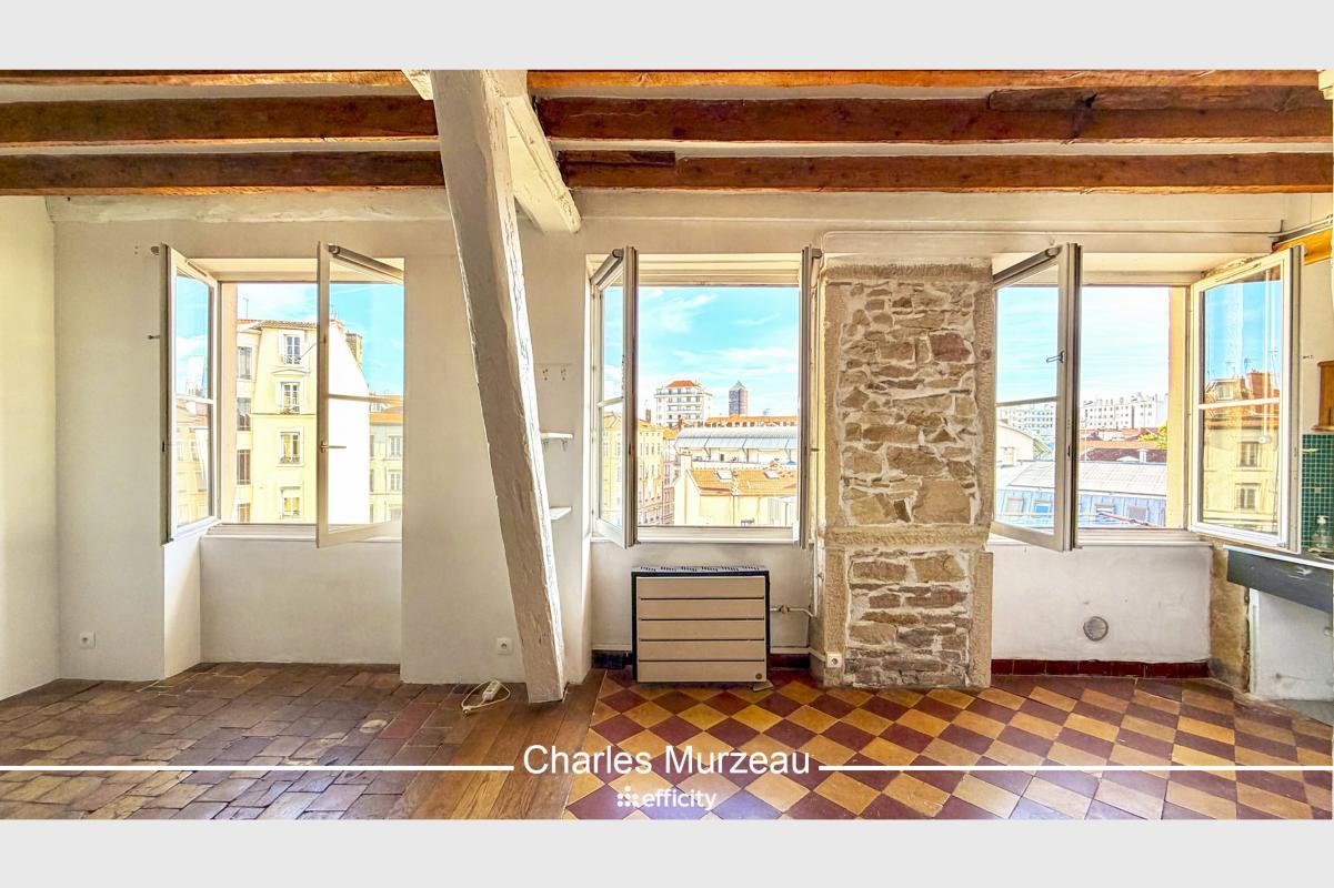 Appartement 2 Pièce(s) Lyon 7eme Arrondissement