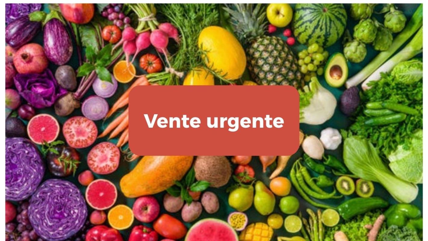 Alimentation  Lyon 1er Arrondissement