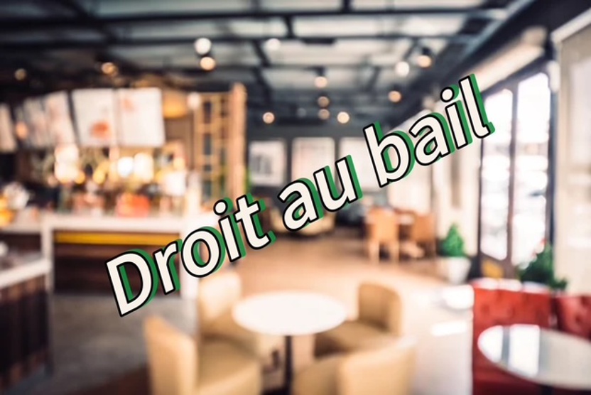 Locaux/biens immobiliers 3 Pièce(s) Royan