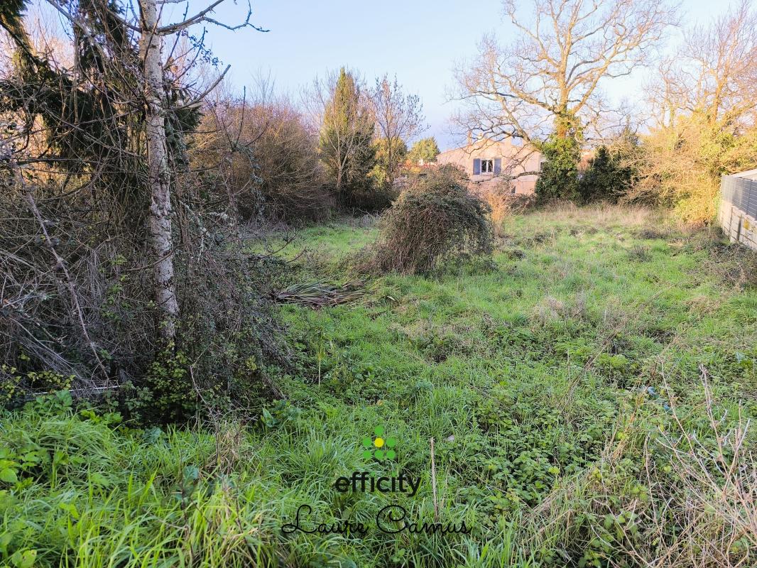 Terrain  Talmont-Saint-Hilaire