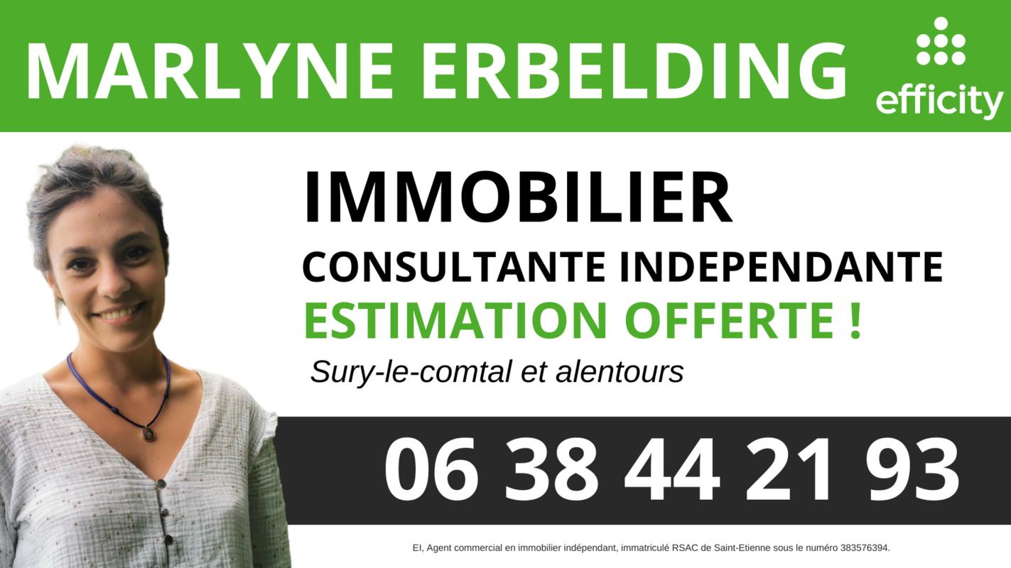 Maison 5 Pièce(s) Sury-le-Comtal