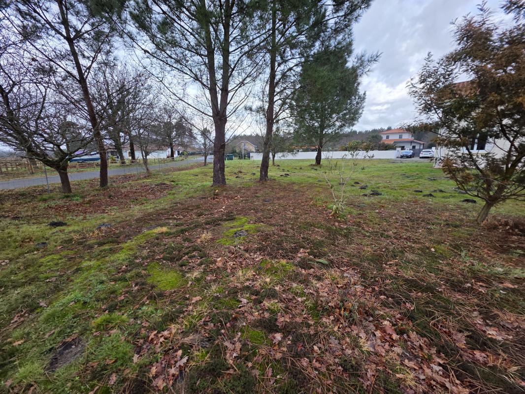 Terrain  Biscarrosse