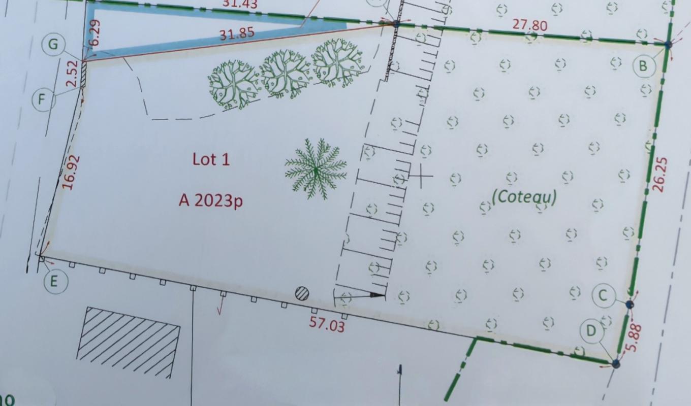 Terrain  Neuillé-Pont-Pierre
