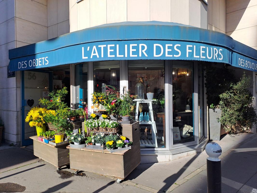 Commerces/negoce  Paris 14eme Arrondissement