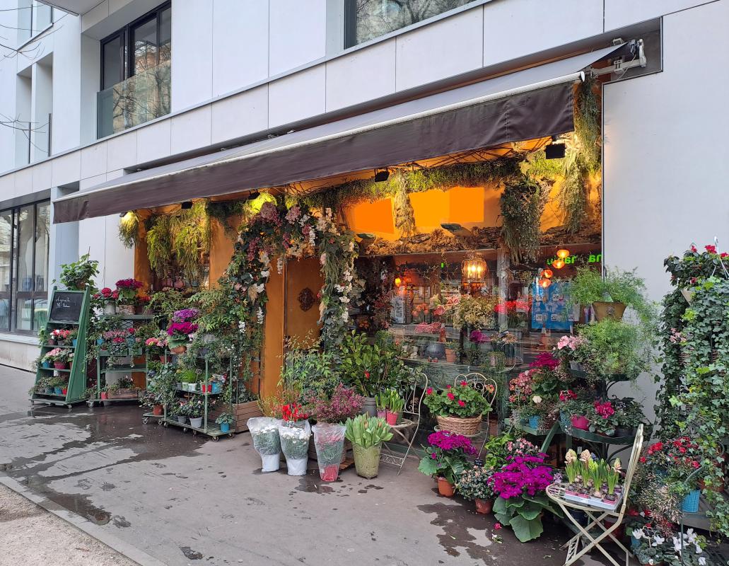 Commerces/negoce  Paris 15eme Arrondissement