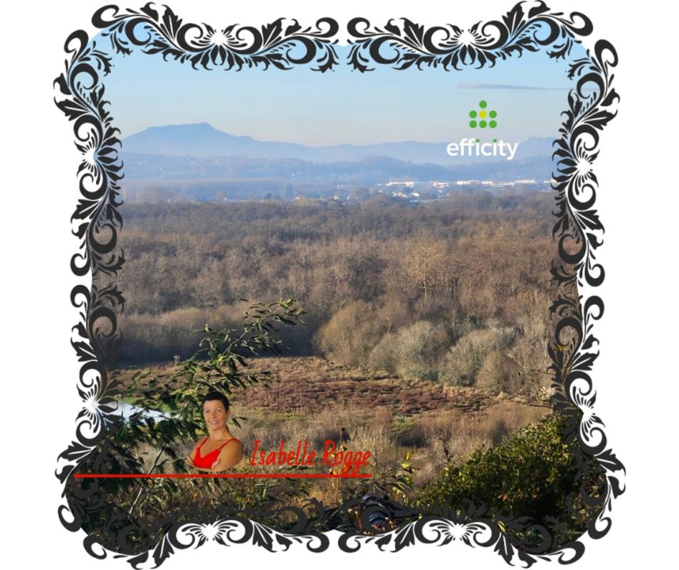 Maison 6 Pièce(s) Saint-Martin-de-Seignanx