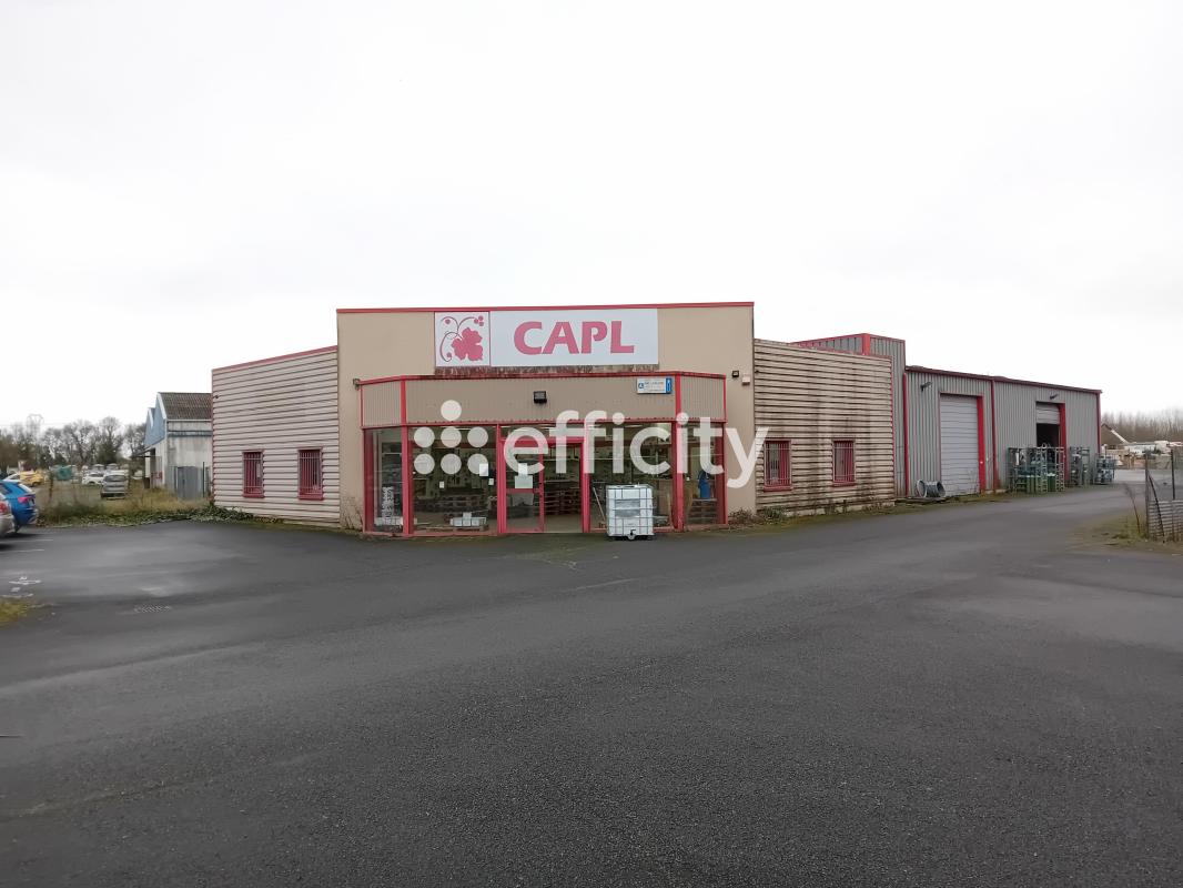 Local commercial  Bourgueil