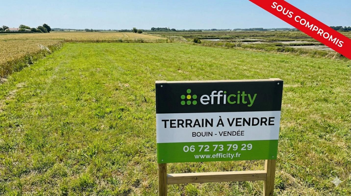 Terrain  Bouin