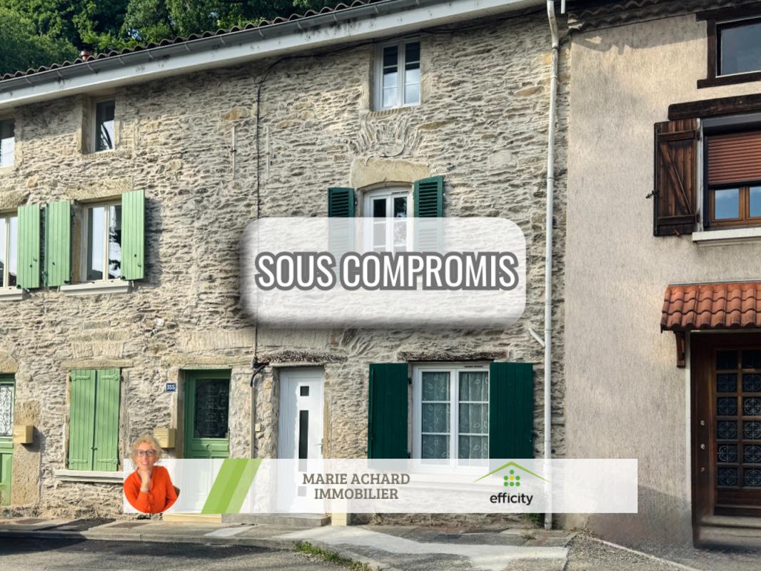 Maison de ville 3 Pièce(s) Chasse-sur-Rhône