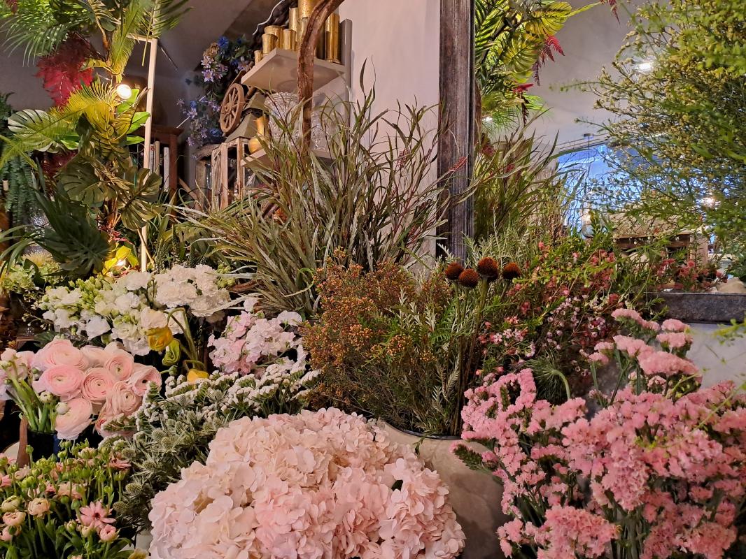 Commerces/negoce  Paris 5eme Arrondissement