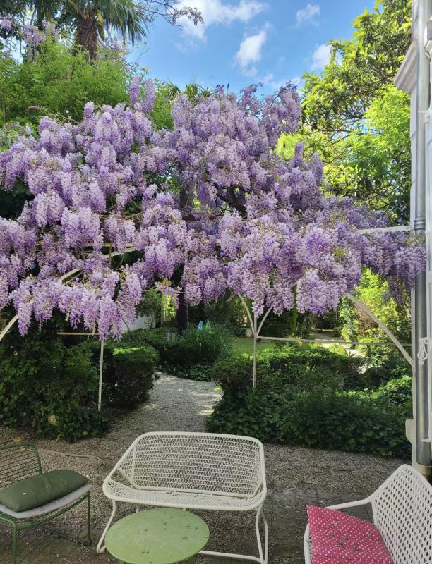 Maison 7 Pièce(s) Royan