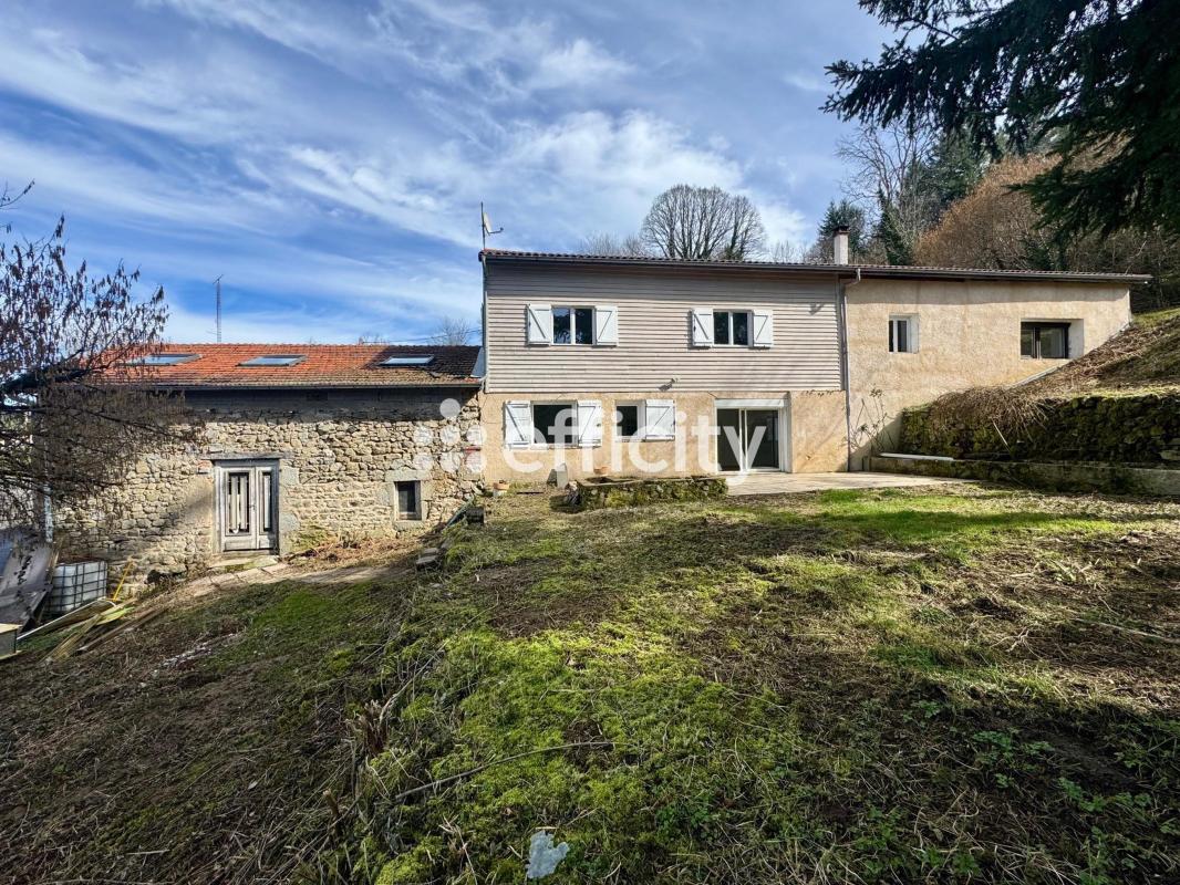 Maison de ville 5 Pièce(s) Thiers