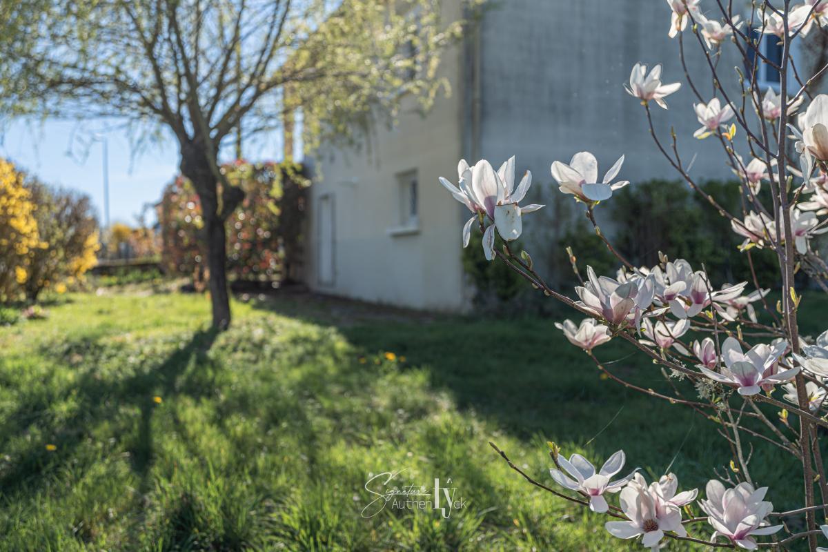 Maison 4 Pièce(s) Saint-Yrieix-la-Perche - Photo 21