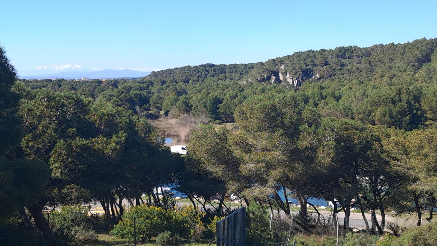 Appartement 4 Pièce(s) Fleury