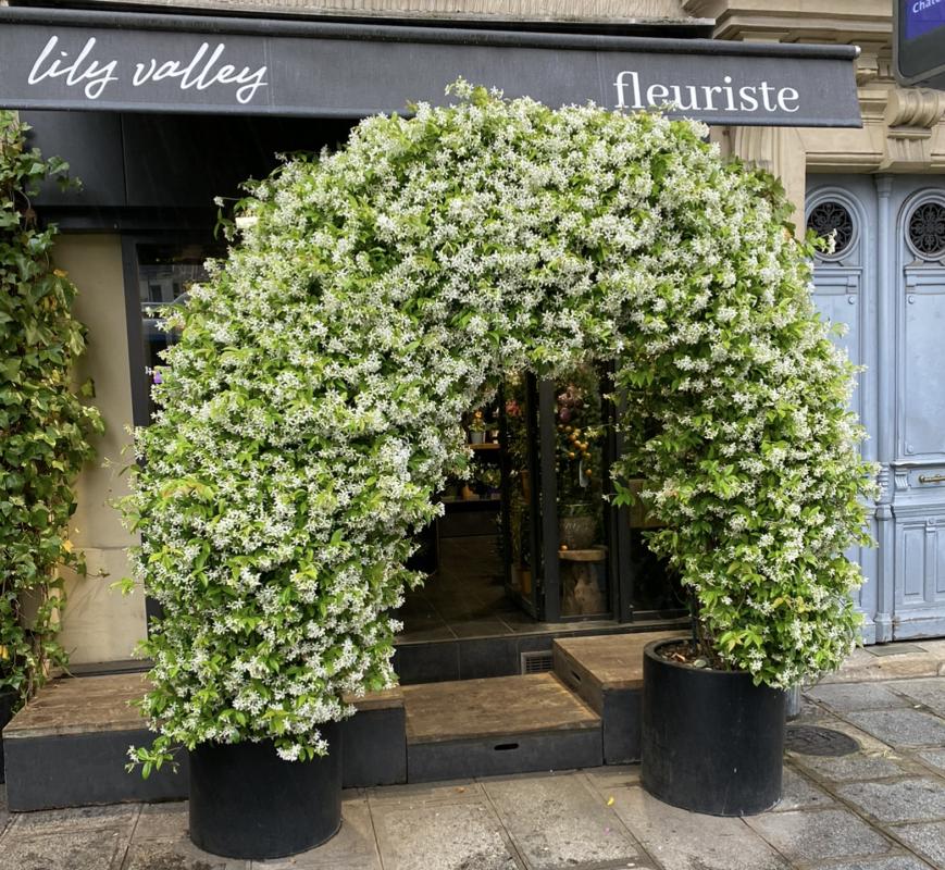 Commerces/negoce  Paris 5eme Arrondissement