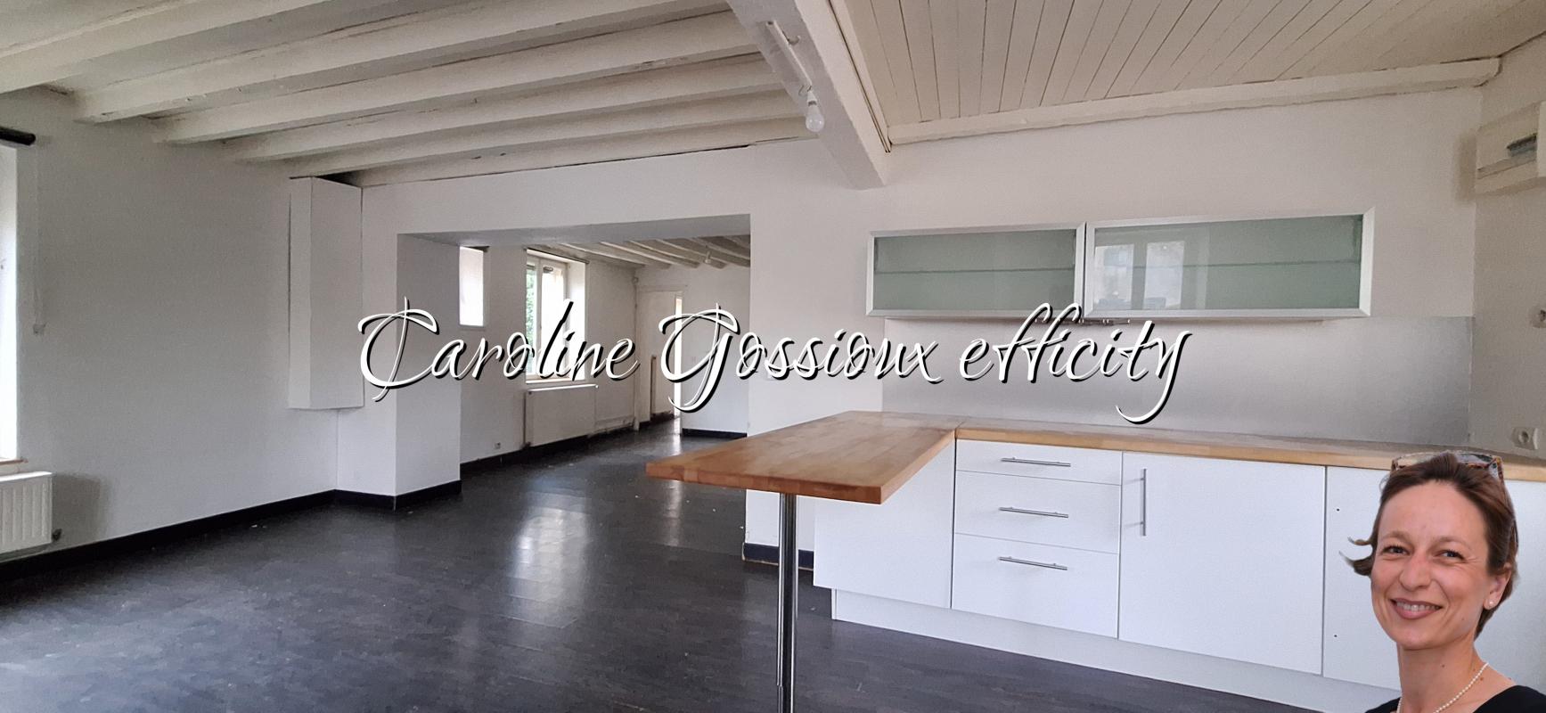 Maison 9 Pièce(s) Meaux - Photo 2