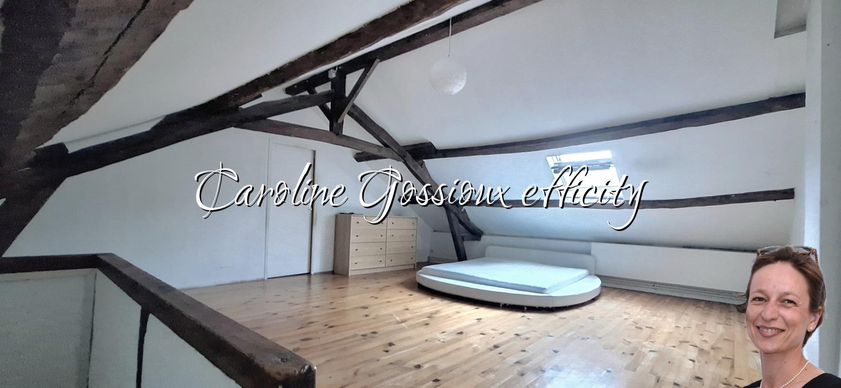 Maison 9 Pièce(s) Meaux - Photo 3