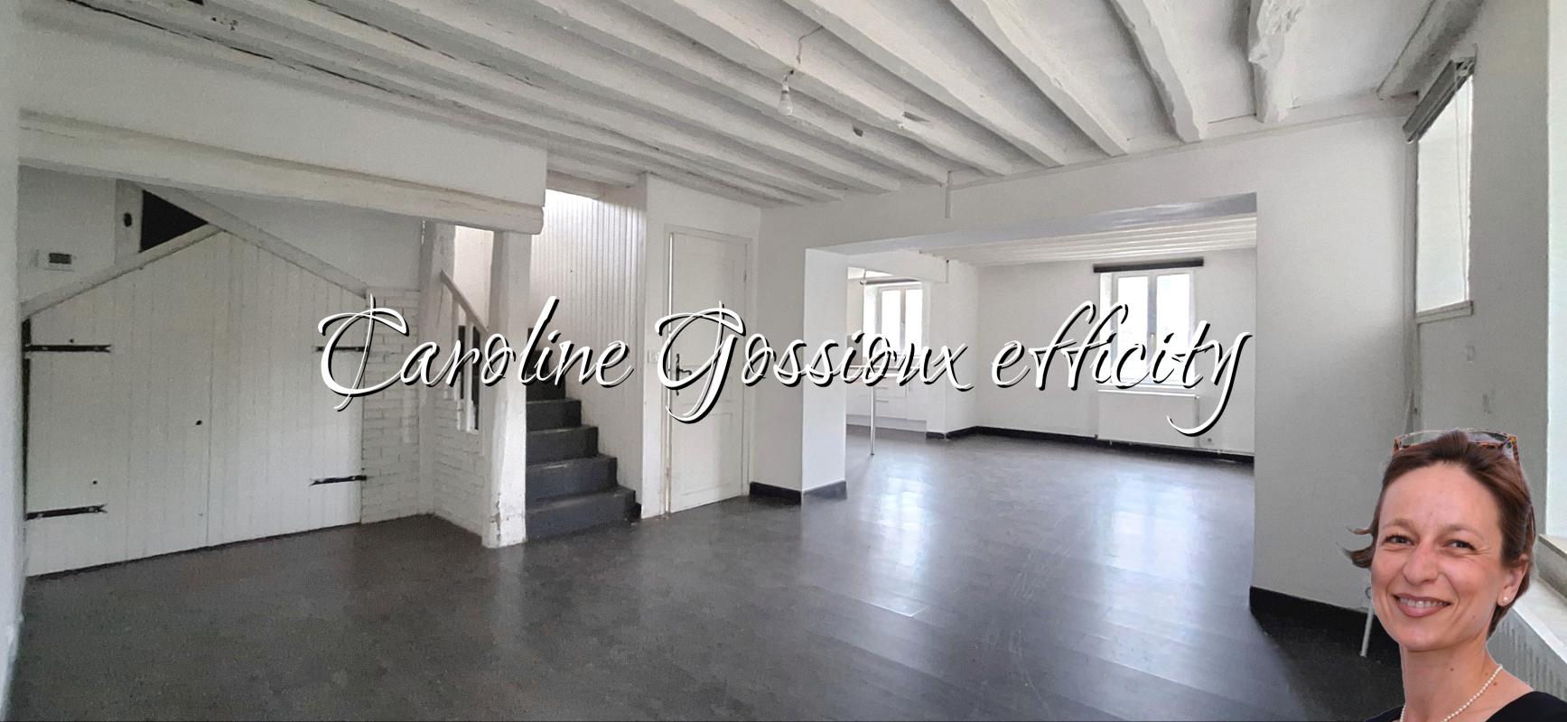 Maison 9 Pièce(s) Meaux - Photo 4