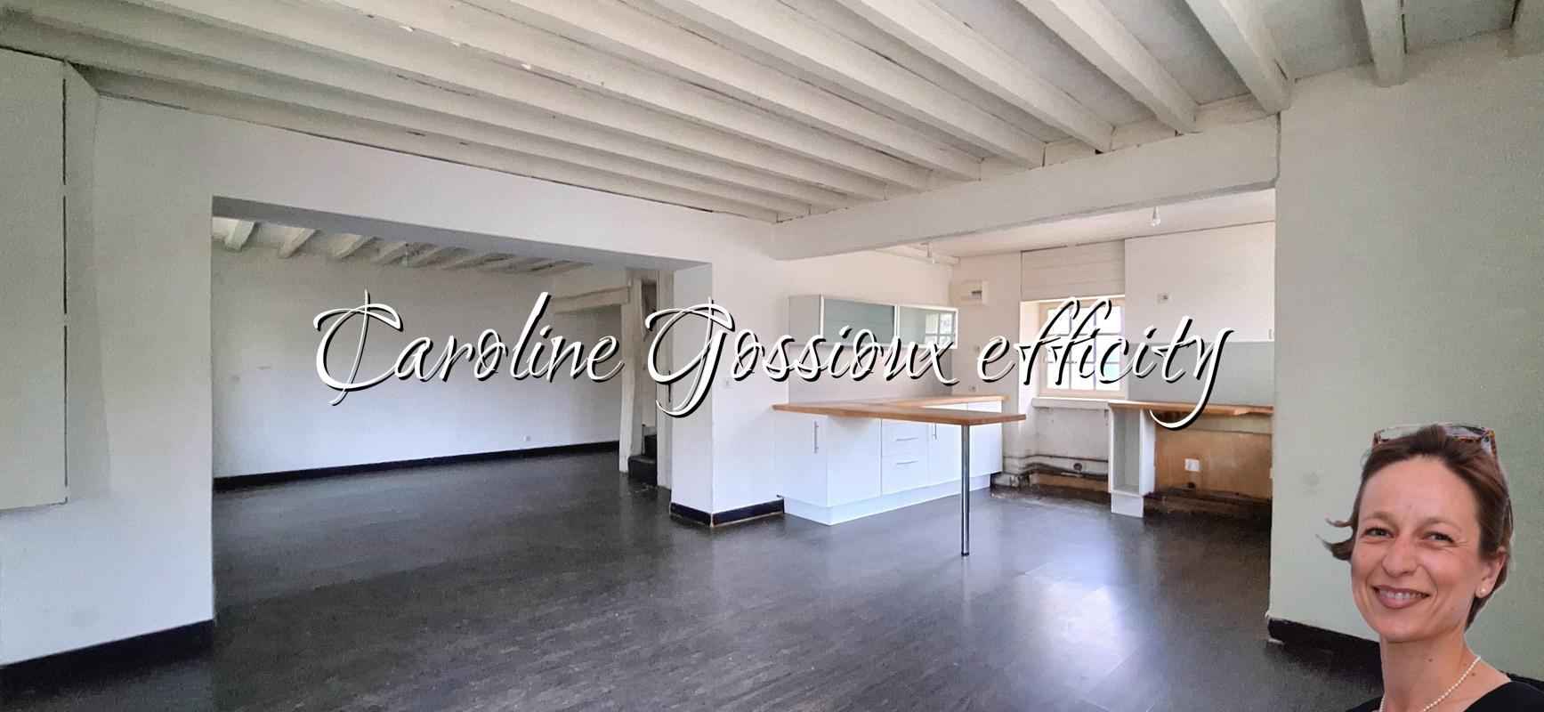 Maison 9 Pièce(s) Meaux - Photo 8