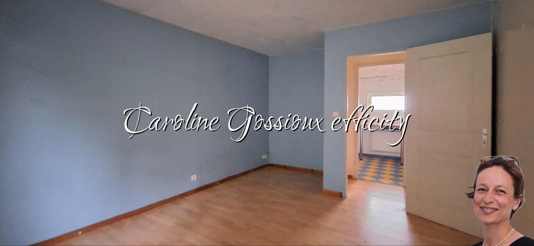 Maison 9 Pièce(s) Meaux - Photo 11
