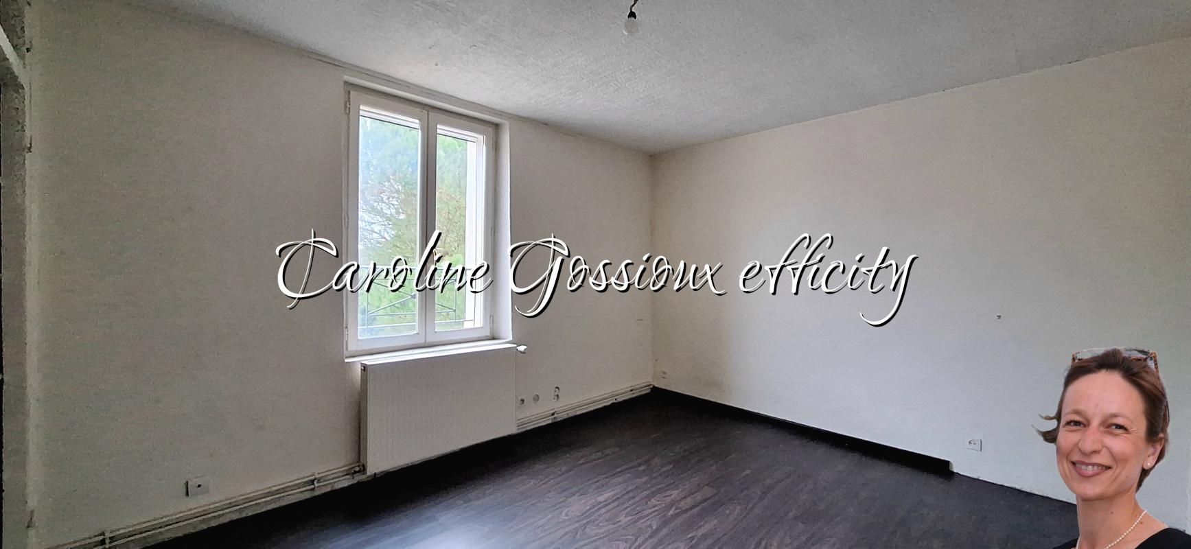Maison 9 Pièce(s) Meaux - Photo 12