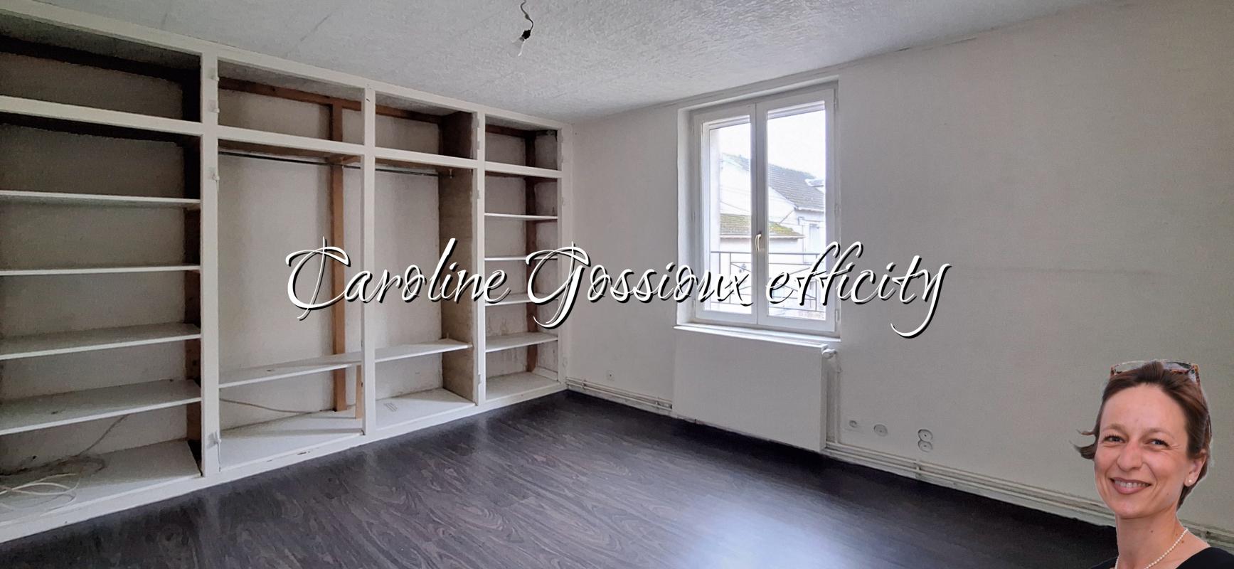 Maison 9 Pièce(s) Meaux - Photo 13