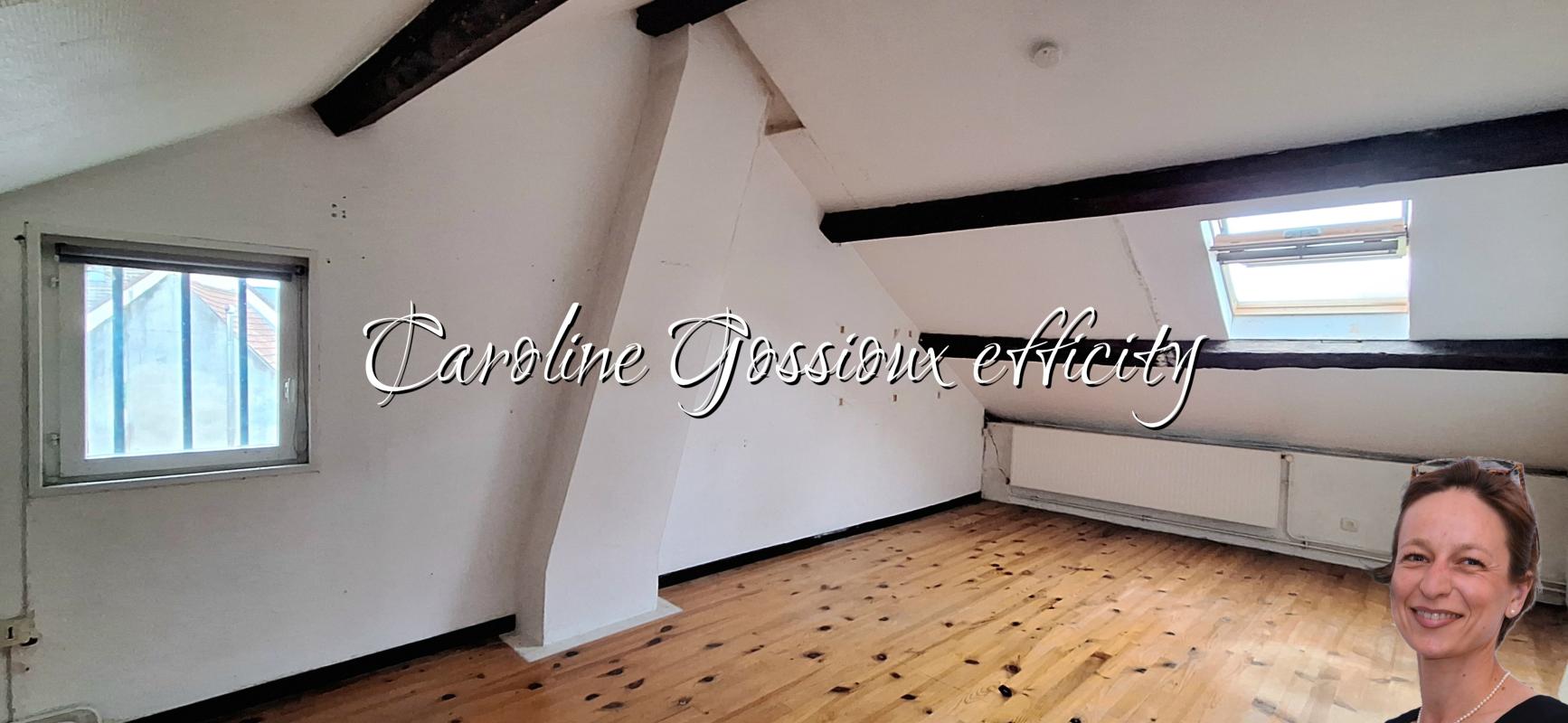 Maison 9 Pièce(s) Meaux - Photo 15