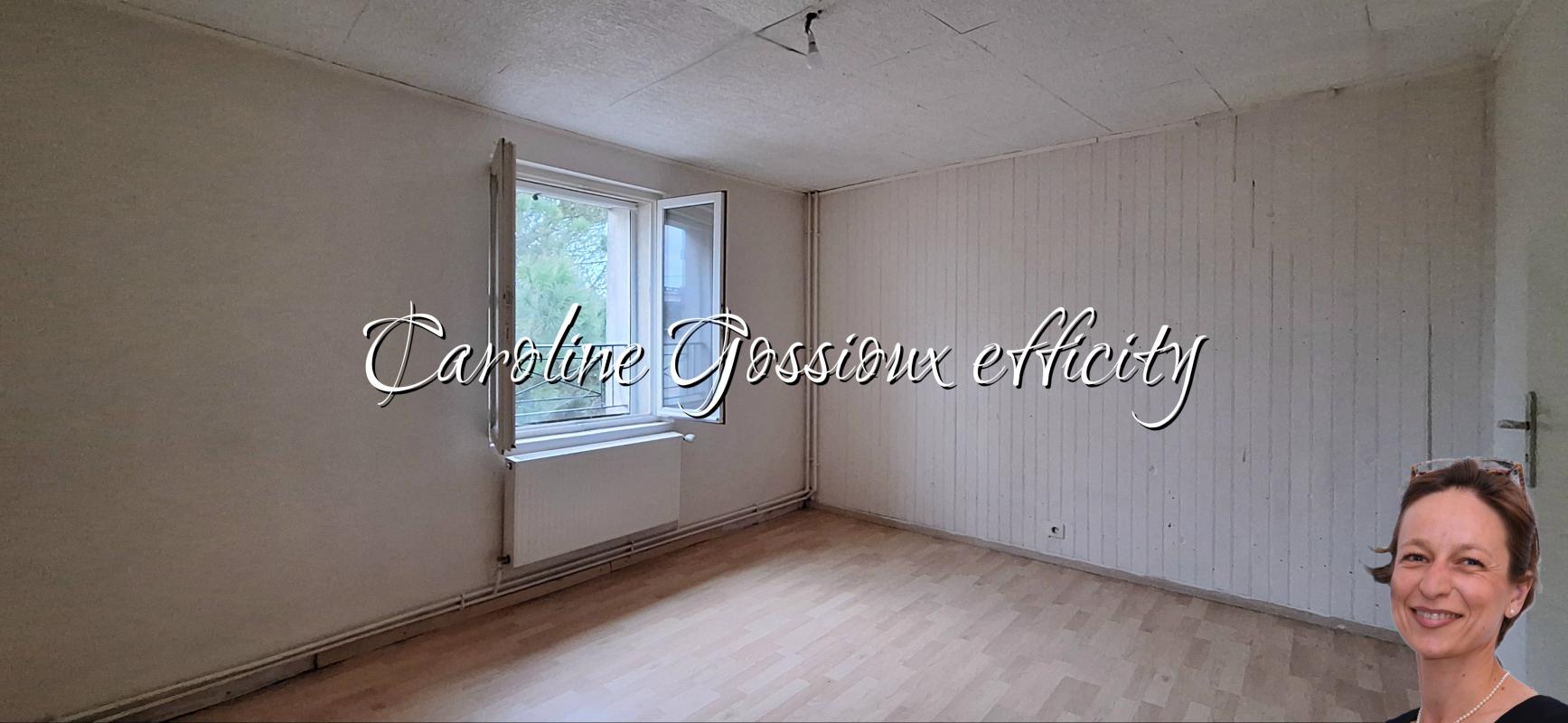Maison 9 Pièce(s) Meaux - Photo 16