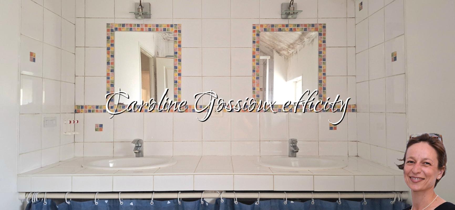 Maison 9 Pièce(s) Meaux - Photo 17