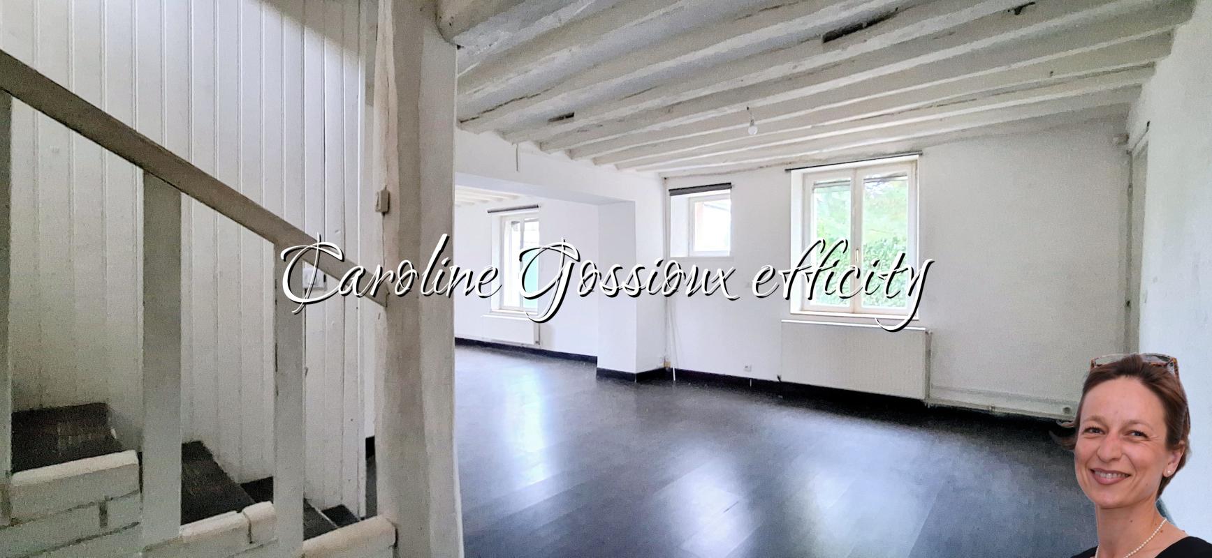 Maison 9 Pièce(s) Meaux - Photo 20