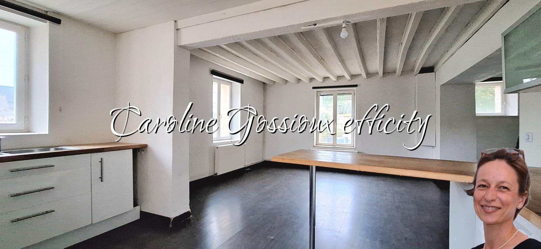 Maison 9 Pièce(s) Meaux - Photo 21