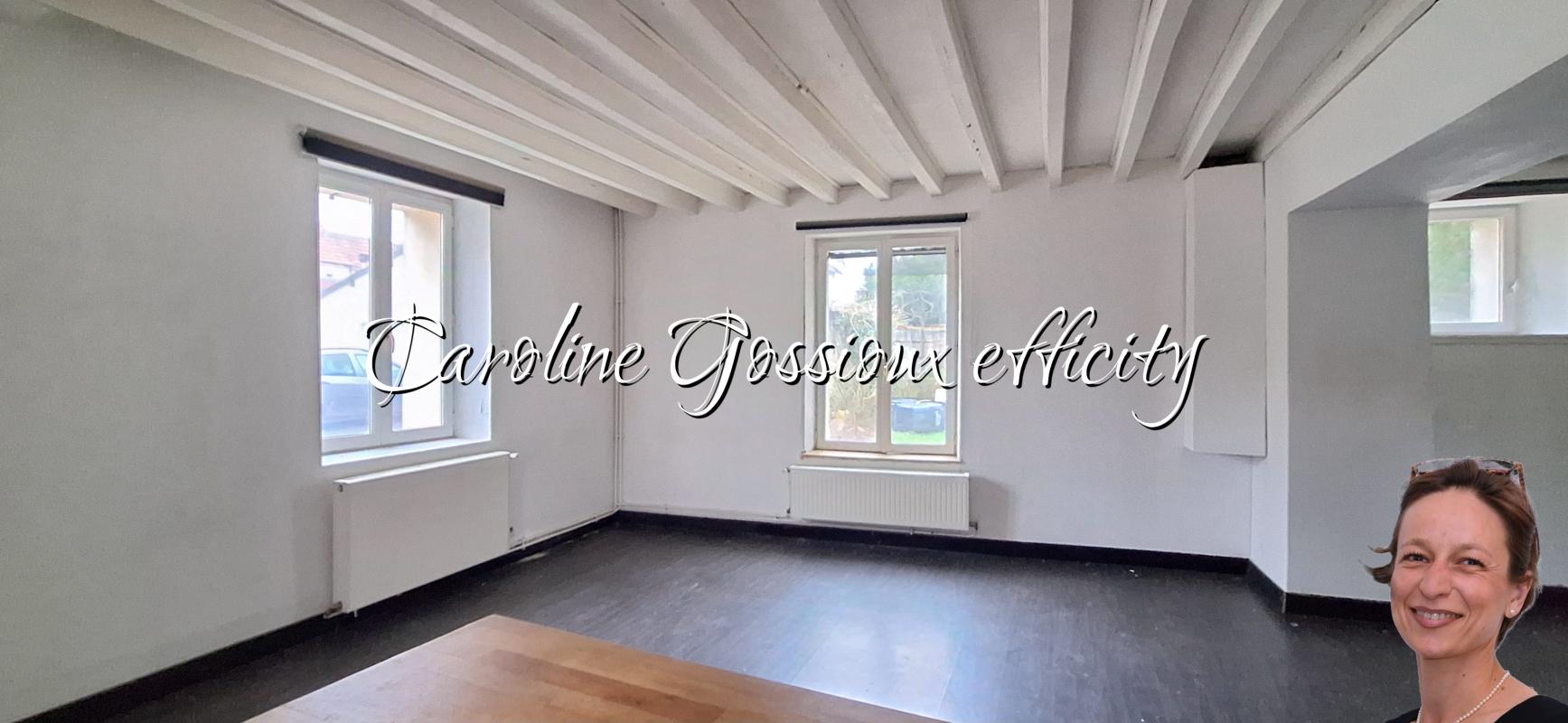 Maison 9 Pièce(s) Meaux - Photo 22
