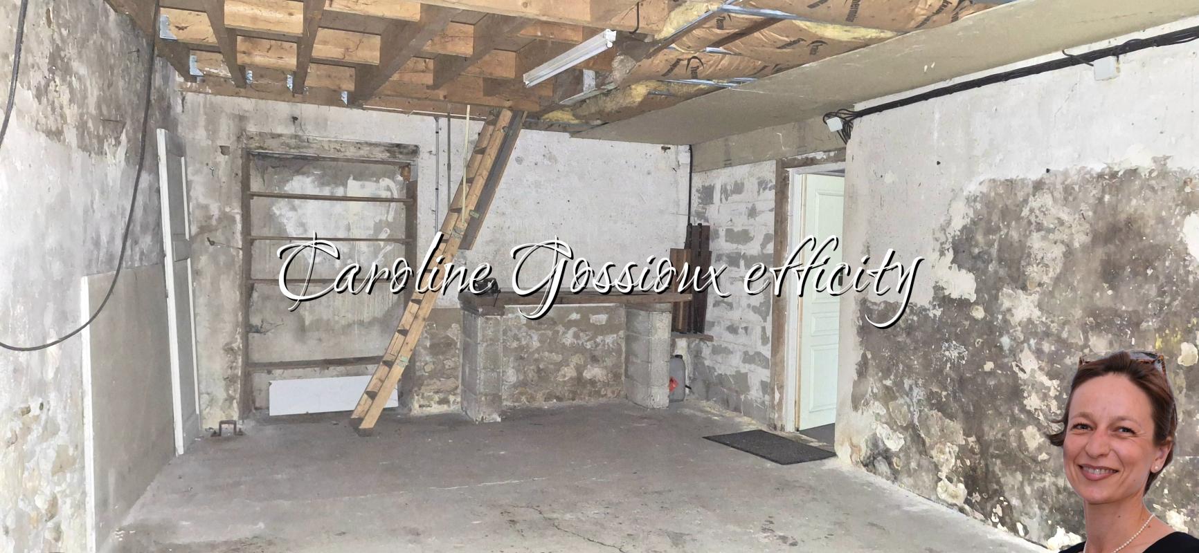 Maison 9 Pièce(s) Meaux - Photo 24