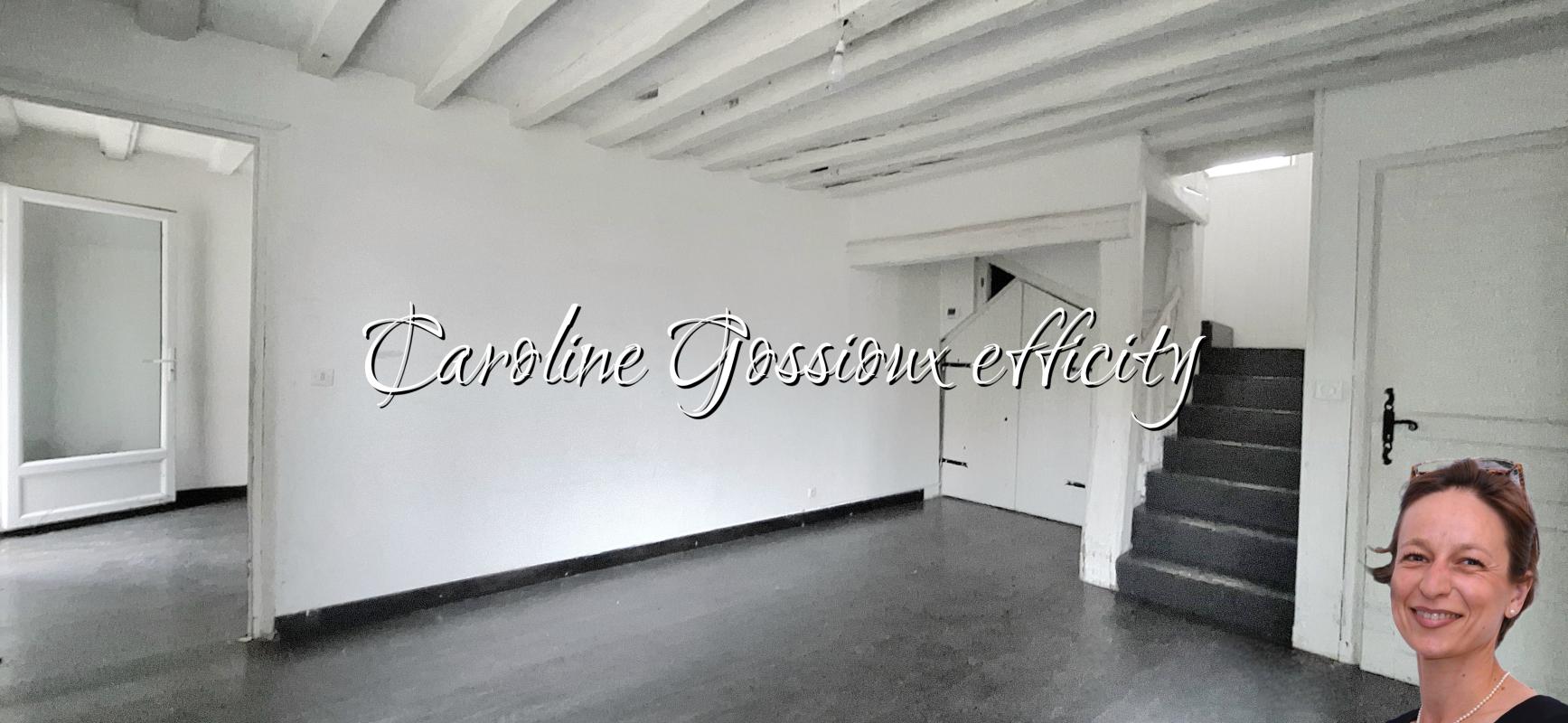 Maison 9 Pièce(s) Meaux - Photo 27
