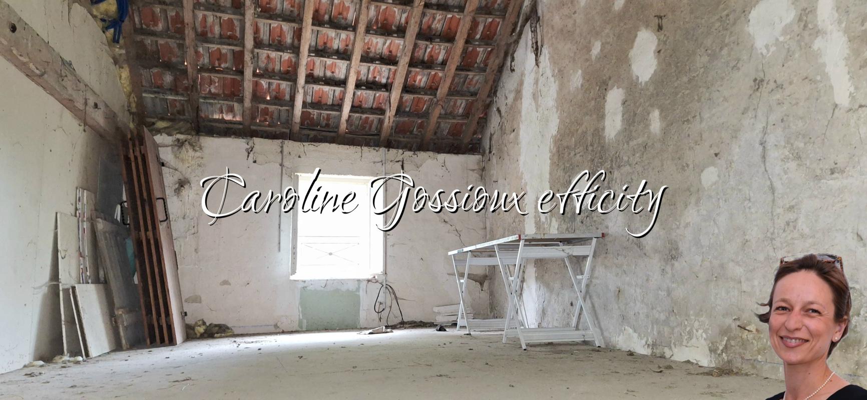Maison 9 Pièce(s) Meaux - Photo 28