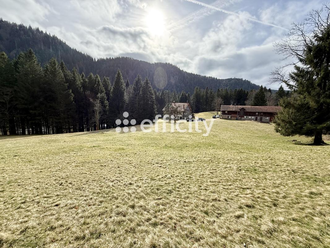 Demeure 20 Pièce(s) Xonrupt-Longemer