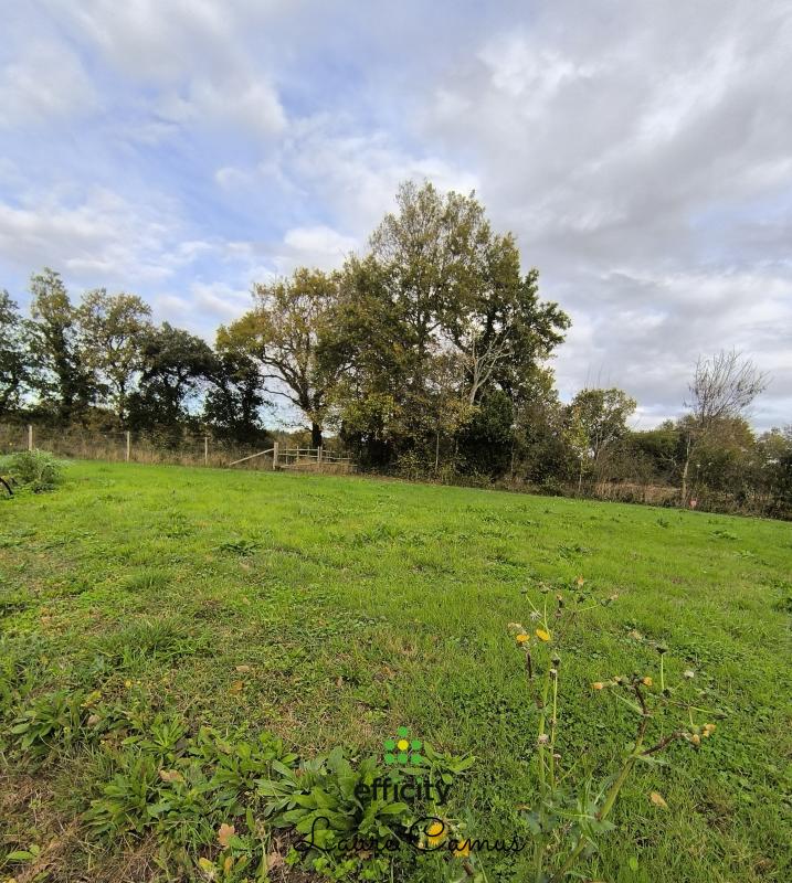 Terrain  Talmont-Saint-Hilaire - Photo 1