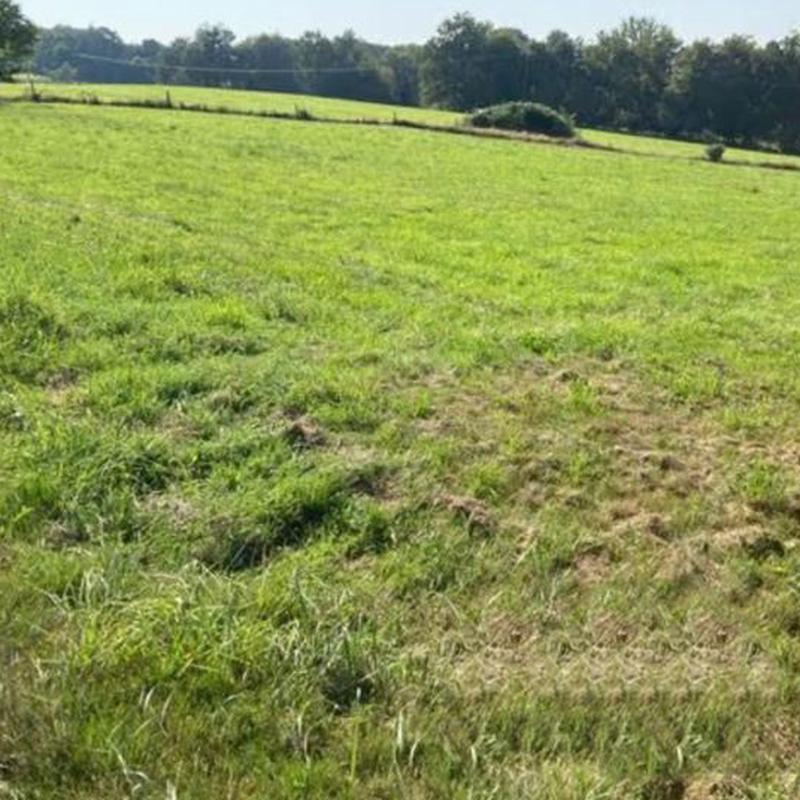 Terrain  Sarrazac - Photo 2